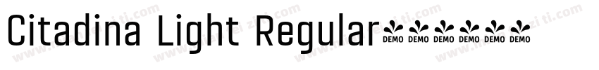 Citadina Light Regular字体转换